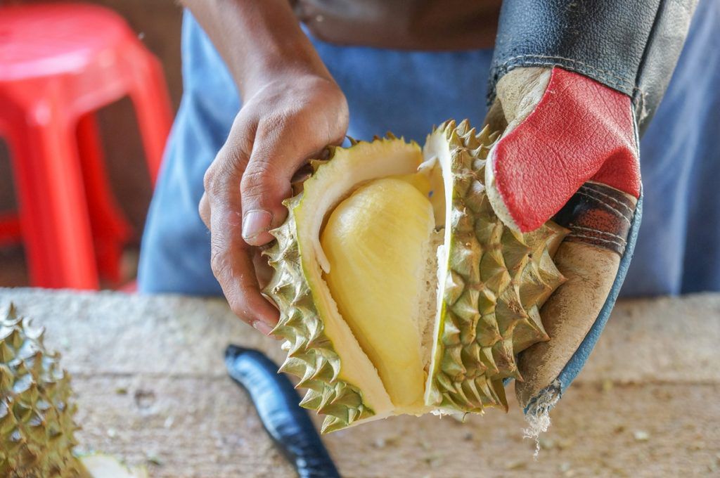 Blind Tasting of Tropical Fruits in Vietnam - Things to do in Vietnam