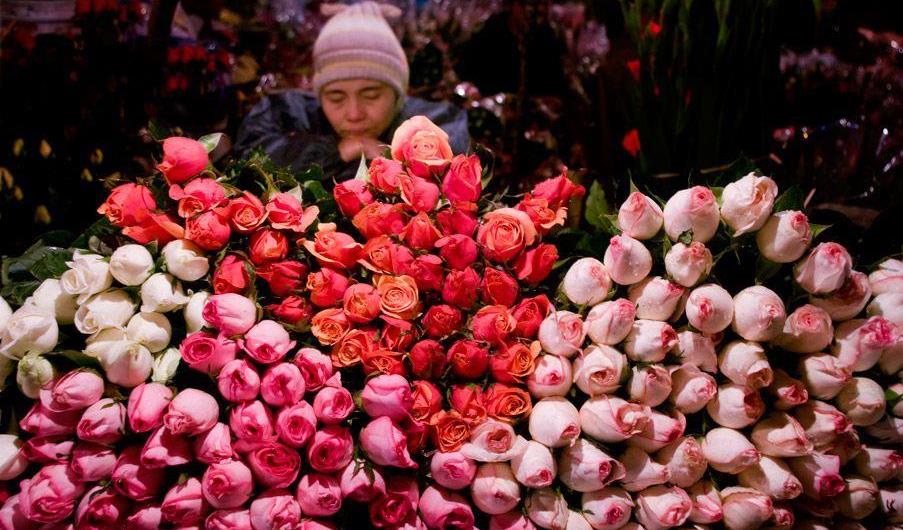 Quang Ba flower market