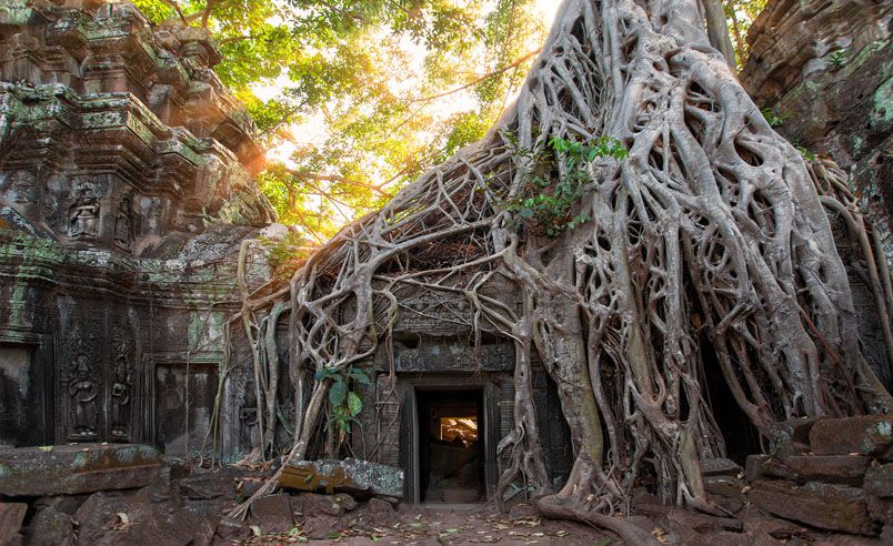 Ta Prohm Temple