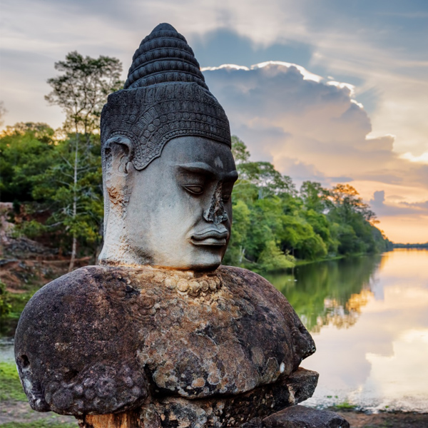 Plant-Tree-Angkor-Temple-Siem-Reap