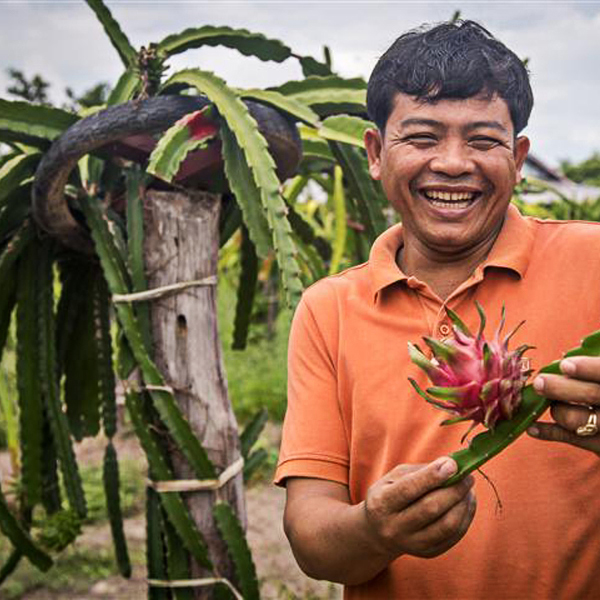 Plant-a-tree-in-Siem-Reap-Cambodia