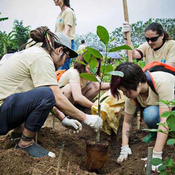 Plant-a-tree-in-Siem-Reap