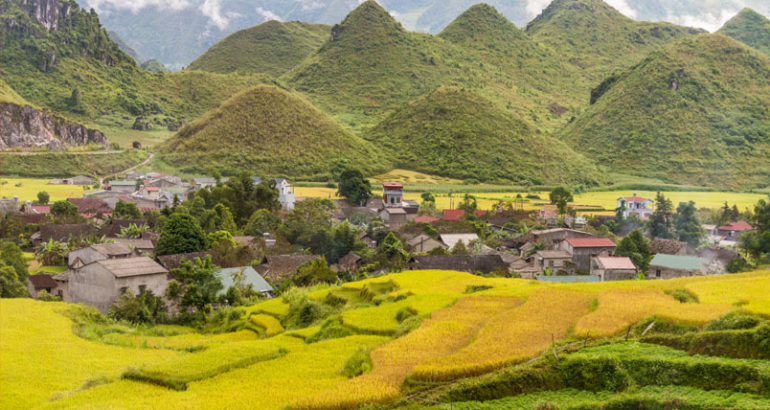 Mu Cang Chai in Autumn - Harvest time