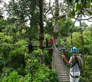 cambodia-siem-reap-angkor-zipline