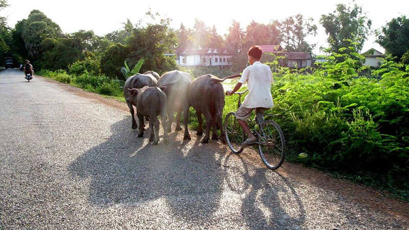 cambodia-kratie-local-life