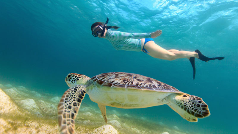 thailand-phuket-snorkeling