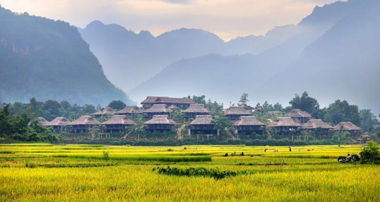 Mai Chau Ecolodge harvest season overview (Vietnam)