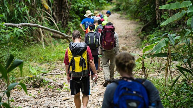 vietnam-national-park-trekking