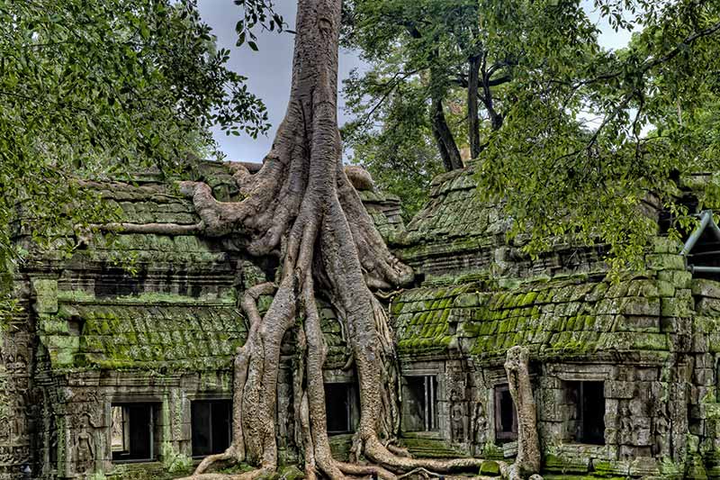 cambodia-angkor-complex