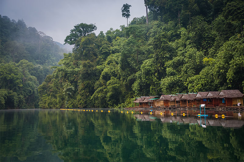 khao-sok-thailand-park-forest-relaxation