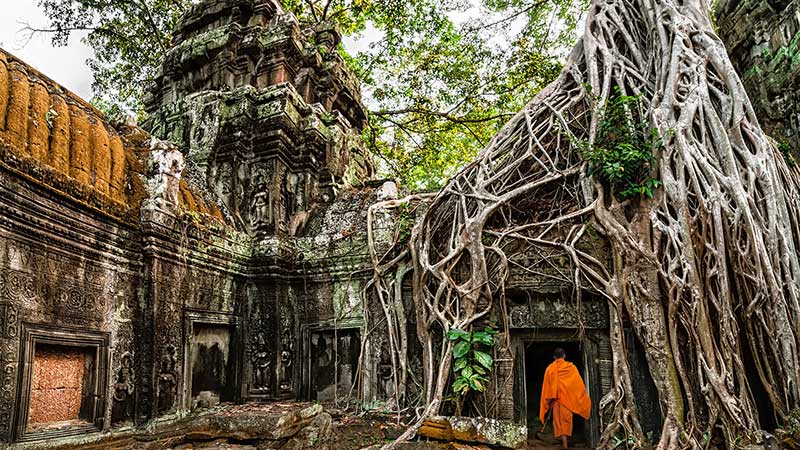 cambodia-siem-reap-ta-prohm-tomb-rider