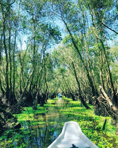 Vietnam_Chau-Doc_Tra-Su-Bird-Sanctuary_by-women.wanderlust_via-Instagram