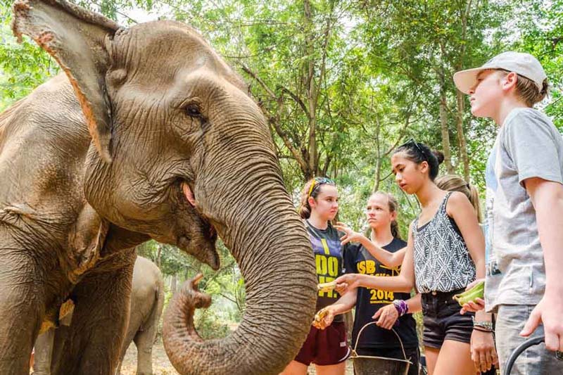 thailand-chiang-mai-elephant-sanctuary